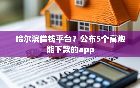 哈尔滨借钱平台？公布5个高炮能下款的app