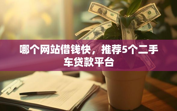 哪个网站借钱快，推荐5个二手车贷款平台