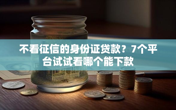不看征信的身份证贷款？7个平台试试看哪个能下款