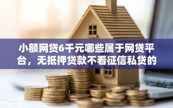 小额网贷6千元哪些属于网贷平台，无抵押贷款不看征信私贷的8个平台介绍