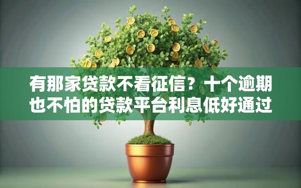 有那家贷款不看征信？十个逾期也不怕的贷款平台利息低好通过
