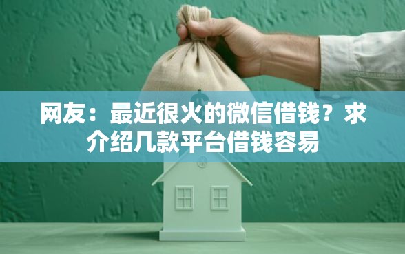 网友：最近很火的微信借钱？求介绍几款平台借钱容易