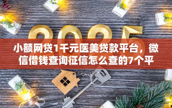 小额网贷1千元医美贷款平台，微信借钱查询征信怎么查的7个平台介绍