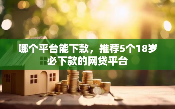哪个平台能下款，推荐5个18岁必下款的网贷平台