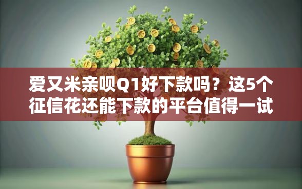 爱又米亲呗Q1好下款吗？这5个征信花还能下款的平台值得一试