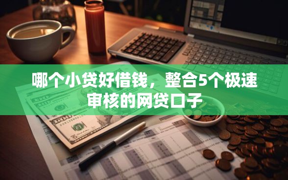 哪个小贷好借钱，整合5个极速审核的网贷口子
