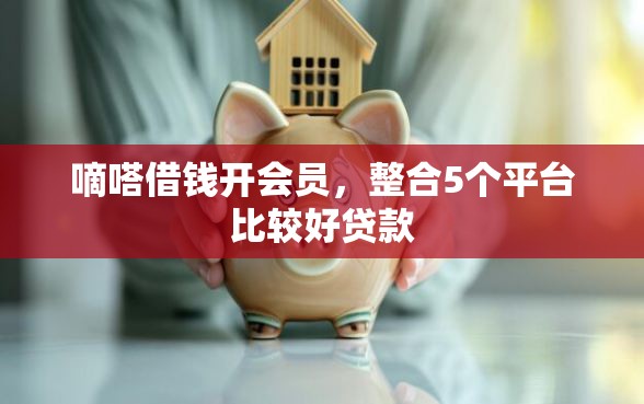 嘀嗒借钱开会员，整合5个平台比较好贷款