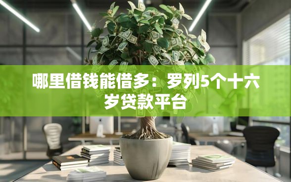 哪里借钱能借多：罗列5个十六岁贷款平台