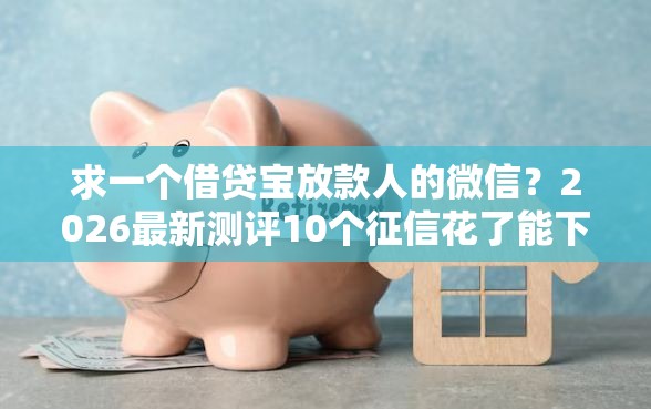 求一个借贷宝放款人的微信？2026最新测评10个征信花了能下款平台