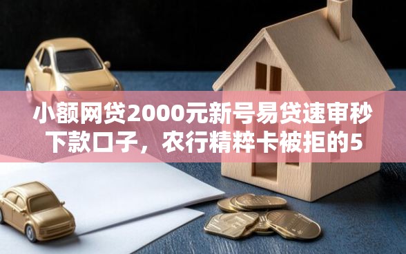 小额网贷2000元新号易贷速审秒下款口子，农行精粹卡被拒的5个平台介绍
