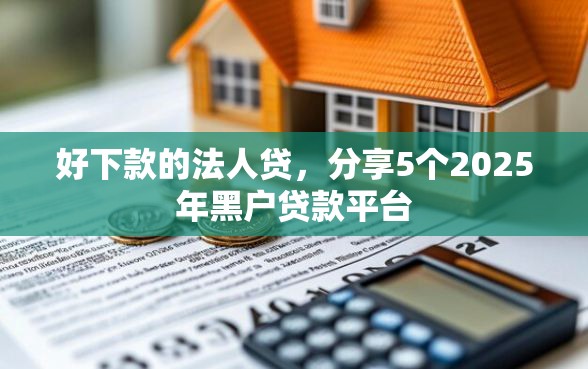 好下款的法人贷，分享5个2025年黑户贷款平台