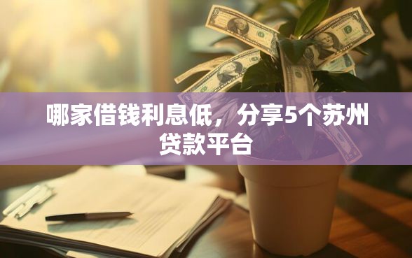 哪家借钱利息低，分享5个苏州贷款平台