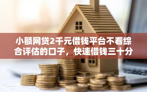 小额网贷2千元借钱平台不看综合评估的口子，快速借钱三十分钟拿钱的5个平台介绍