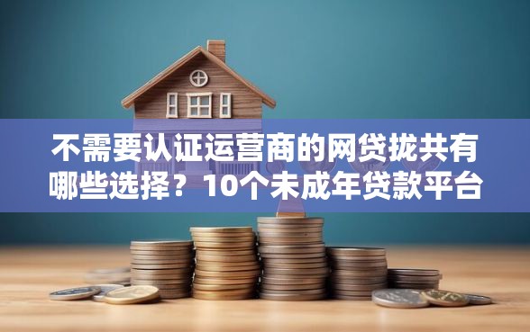不需要认证运营商的网贷拢共有哪些选择？10个未成年贷款平台详解