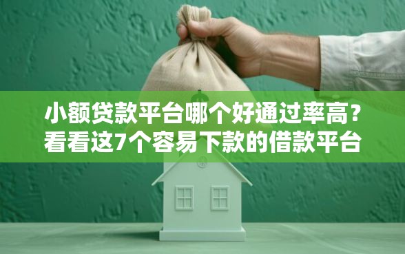 小额贷款平台哪个好通过率高？看看这7个容易下款的借款平台怎么样