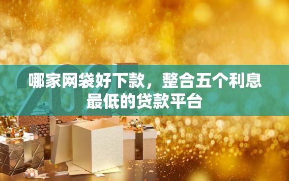 哪家网袋好下款，整合五个利息最低的贷款平台