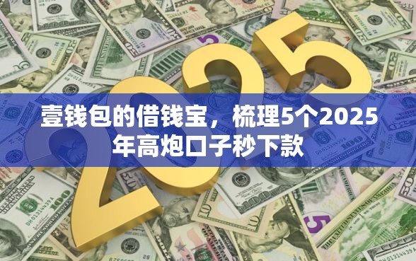 壹钱包的借钱宝，梳理5个2025年高炮口子秒下款