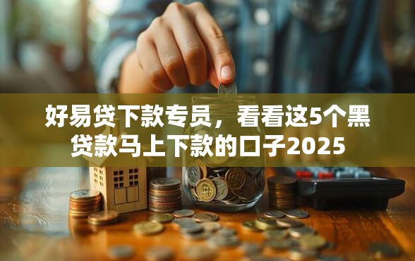 好易贷下款专员，看看这5个黑贷款马上下款的口子2025