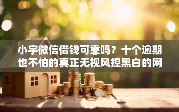 小宇微信借钱可靠吗？十个逾期也不怕的真正无视风控黑白的网贷