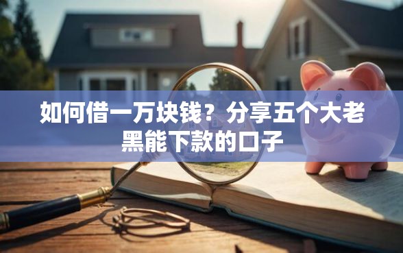 如何借一万块钱？分享五个大老黑能下款的口子