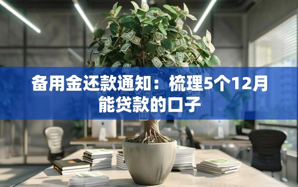 备用金还款通知：梳理5个12月能贷款的口子