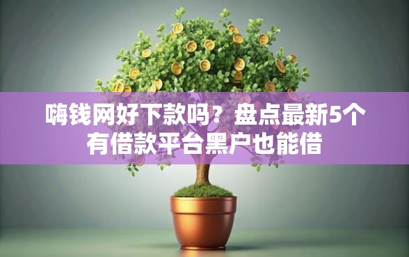 嗨钱网好下款吗？盘点最新5个有借款平台黑户也能借