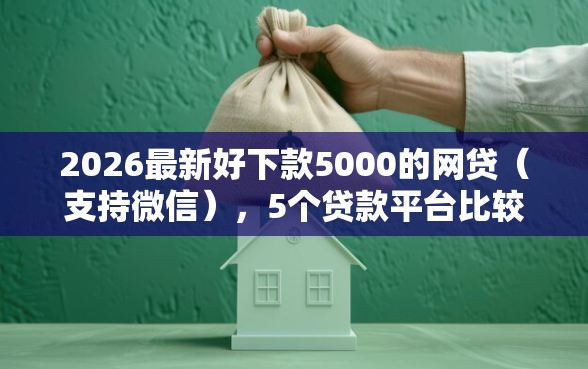 2026最新好下款5000的网贷（支持微信），5个贷款平台比较靠谱无私分享