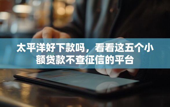 太平洋好下款吗，看看这五个小额贷款不查征信的平台