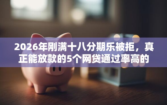 2026年刚满十八分期乐被拒，真正能放款的5个网贷通过率高的平台推荐