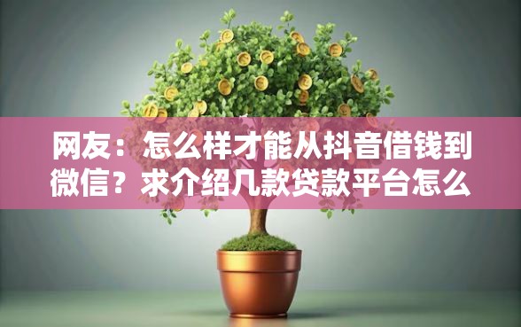 网友：怎么样才能从抖音借钱到微信？求介绍几款贷款平台怎么投诉