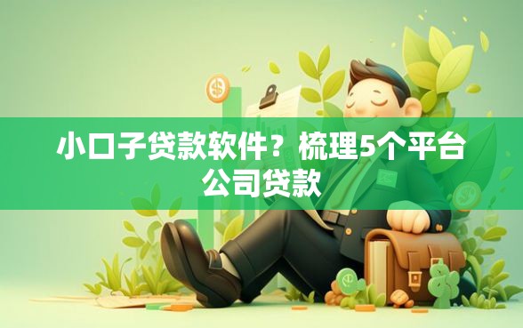 小口子贷款软件？梳理5个平台公司贷款