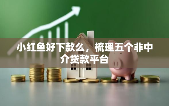 小红鱼好下款么，梳理五个非中介贷款平台