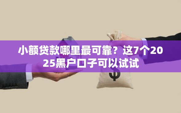 小额贷款哪里最可靠？这7个2025黑户口子可以试试