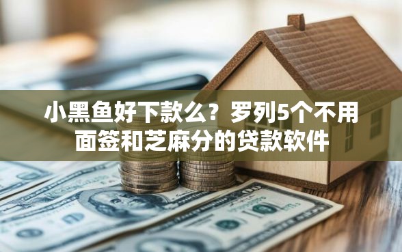 小黑鱼好下款么？罗列5个不用面签和芝麻分的贷款软件