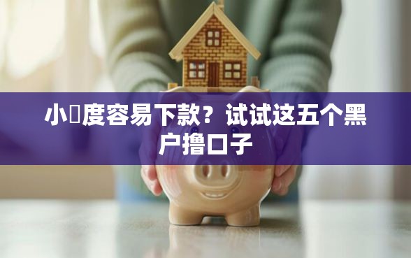 小額度容易下款？试试这五个黑户撸口子