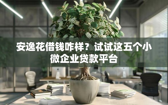 安逸花借钱咋样？试试这五个小微企业贷款平台