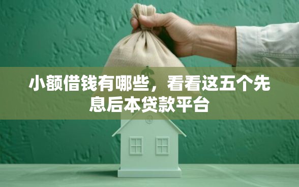 小额借钱有哪些，看看这五个先息后本贷款平台