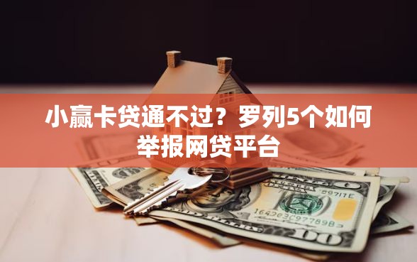 小赢卡贷通不过?罗列5个如何举报网贷平台 小赢卡贷通不过?罗列5个如何举报网贷平台