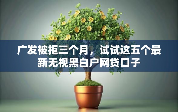 广发被拒三个月，试试这五个最新无视黑白户网贷口子