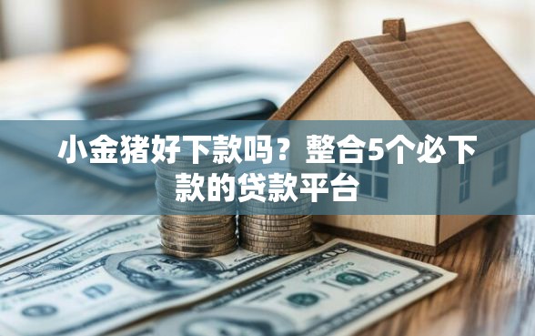 小金猪好下款吗？整合5个必下款的贷款平台