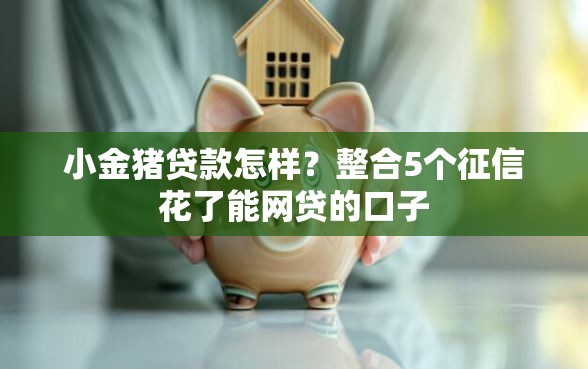 小金猪贷款怎样？整合5个征信花了能网贷的口子