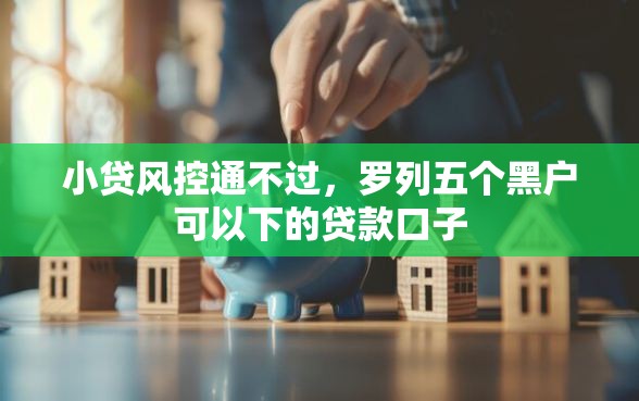 小贷风控通不过，罗列五个黑户可以下的贷款口子