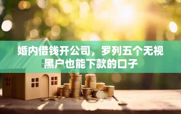 婚内借钱开公司，罗列五个无视黑户也能下款的口子