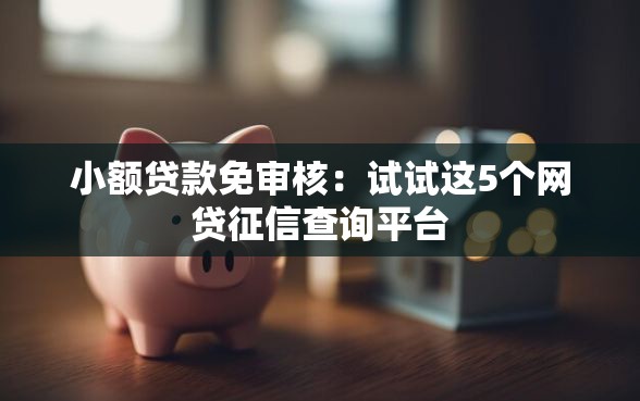 小额贷款免审核：试试这5个网贷征信查询平台