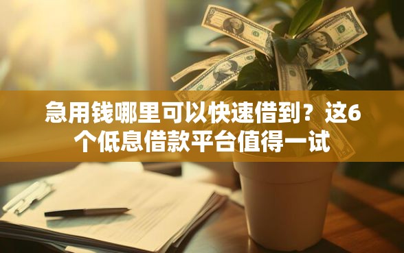 急用钱哪里可以快速借到？这6个低息借款平台值得一试