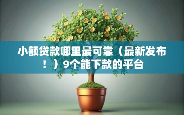 小额贷款哪里最可靠（最新发布！）9个能下款的平台