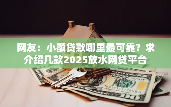 网友：小额贷款哪里最可靠？求介绍几款2025放水网贷平台