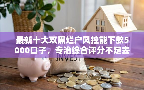 最新十大双黑烂户风控能下款5000口子，专治综合评分不足去哪借钱