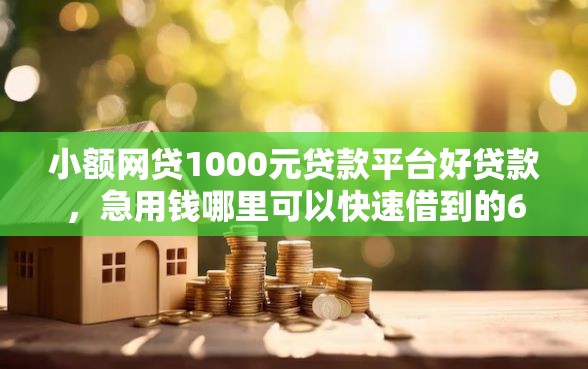 小额网贷1000元贷款平台好贷款，急用钱哪里可以快速借到的6个平台介绍