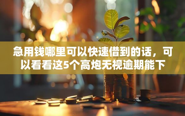 急用钱哪里可以快速借到的话，可以看看这5个高炮无视逾期能下的平台